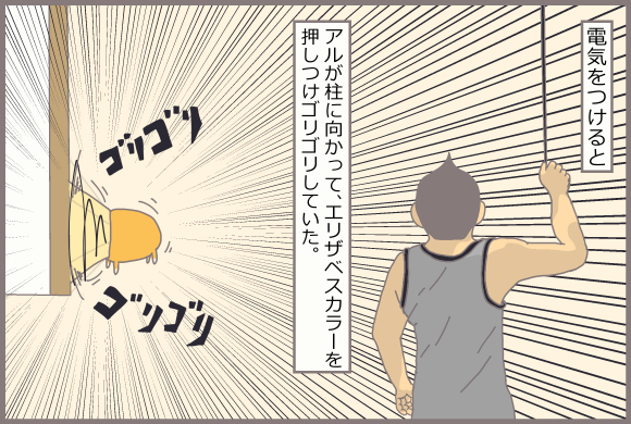 コーギーアルんち:エリザベスカラーを柱に押し付けてるアル