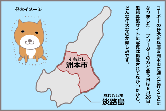 コーギーアルんち：コーギーの仔犬とは淡路島で会う
