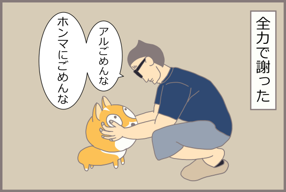 コーギーアルんち:全力でアルに謝罪