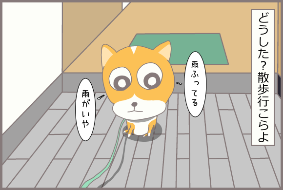 コーギーアルんち:散歩嫌だな~
