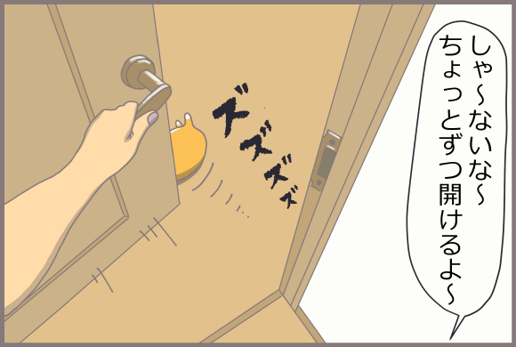 コーギーアルんち:アル、開けるよ~